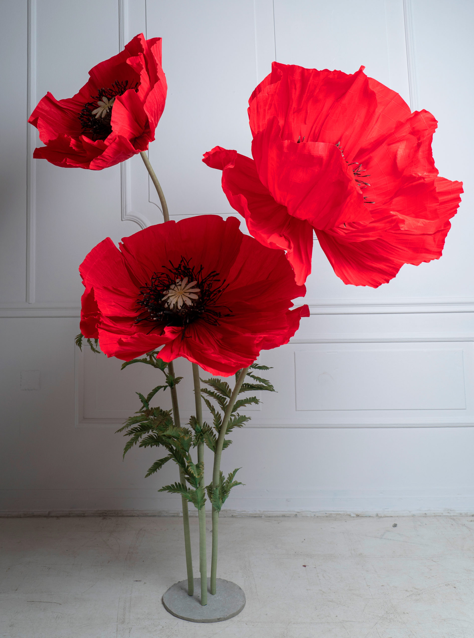 Giant red poppies