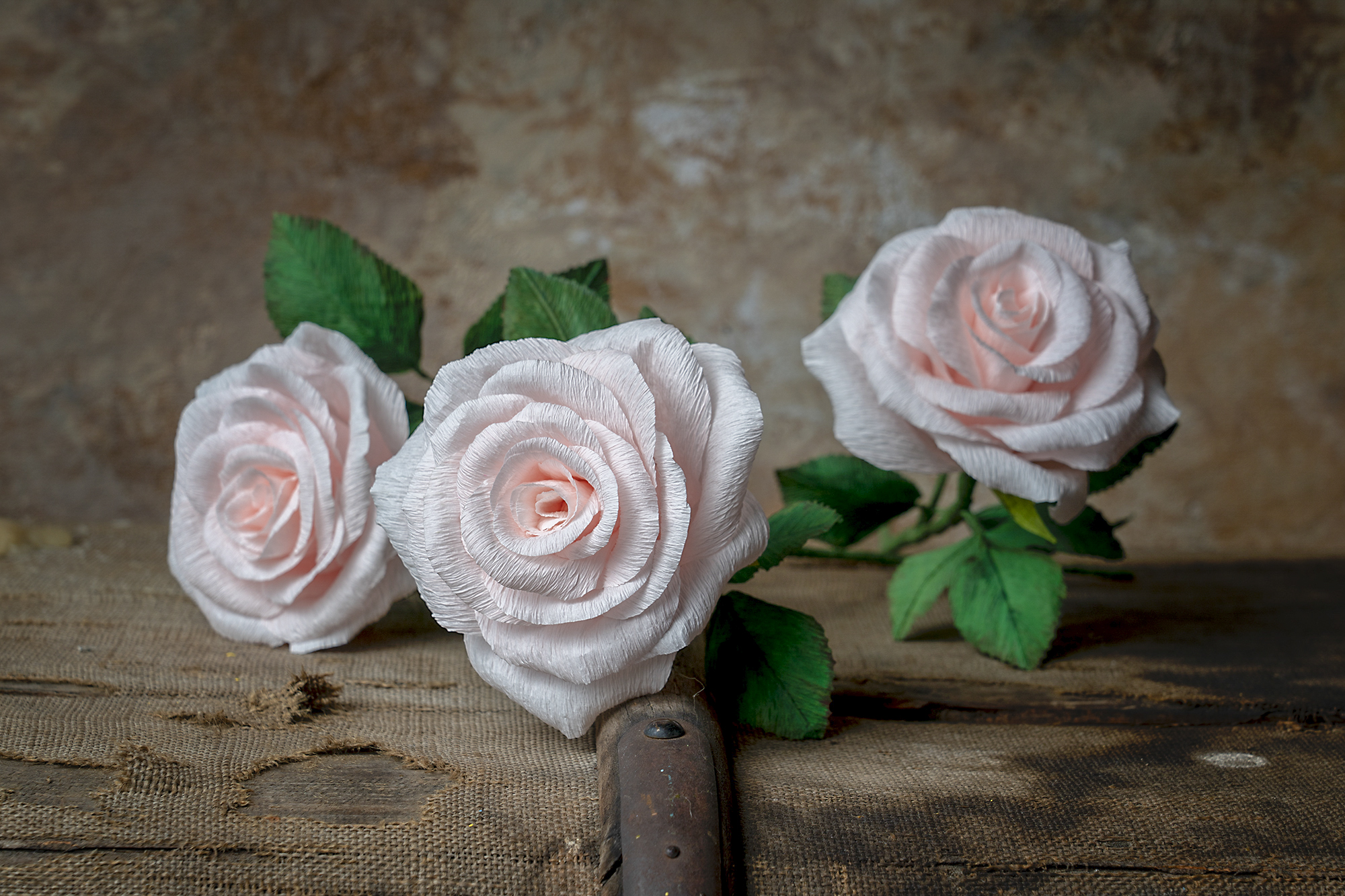 Roses en rose pâle