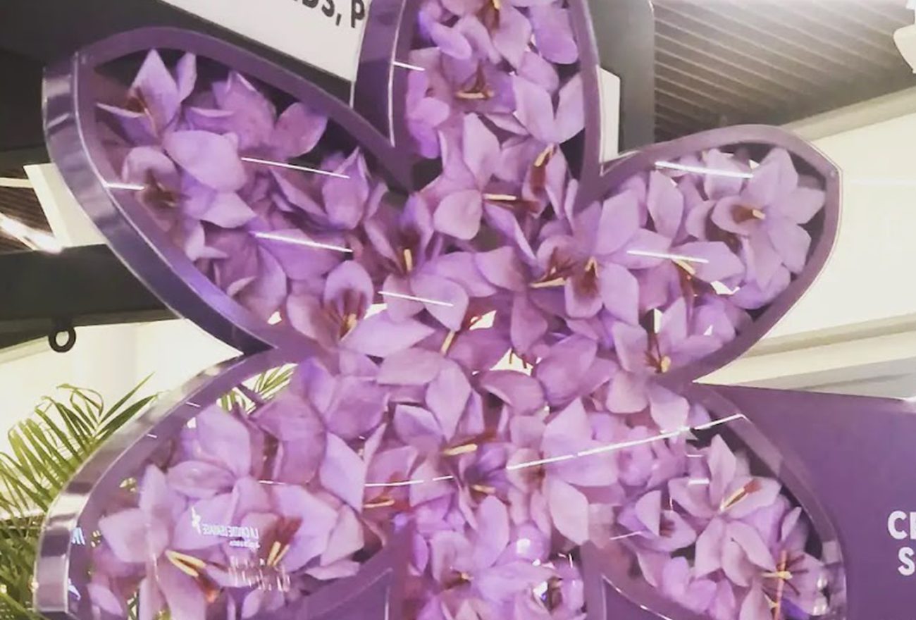 Décoration d'espace / Fleurs de safrans en papier par Carton-art